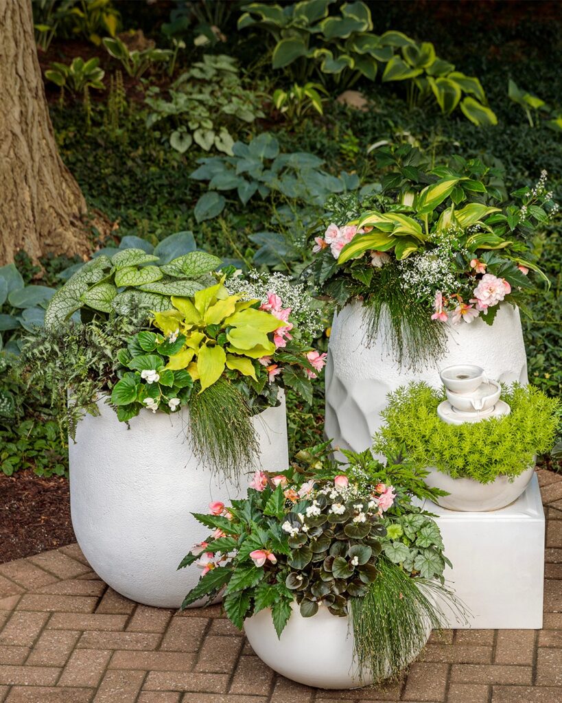 Flower Pot Gazebo Cover Ideas