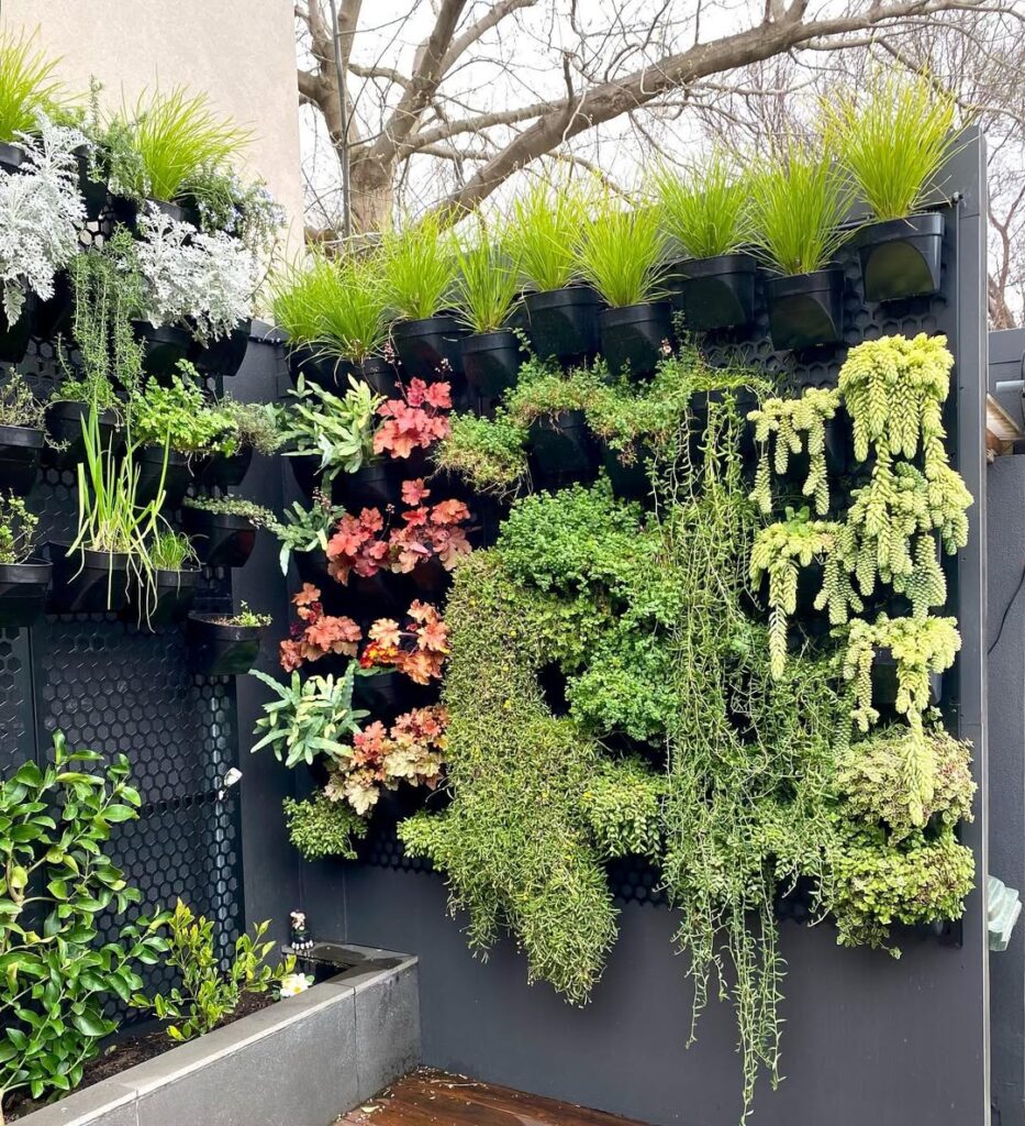 Garden Wall Ideas