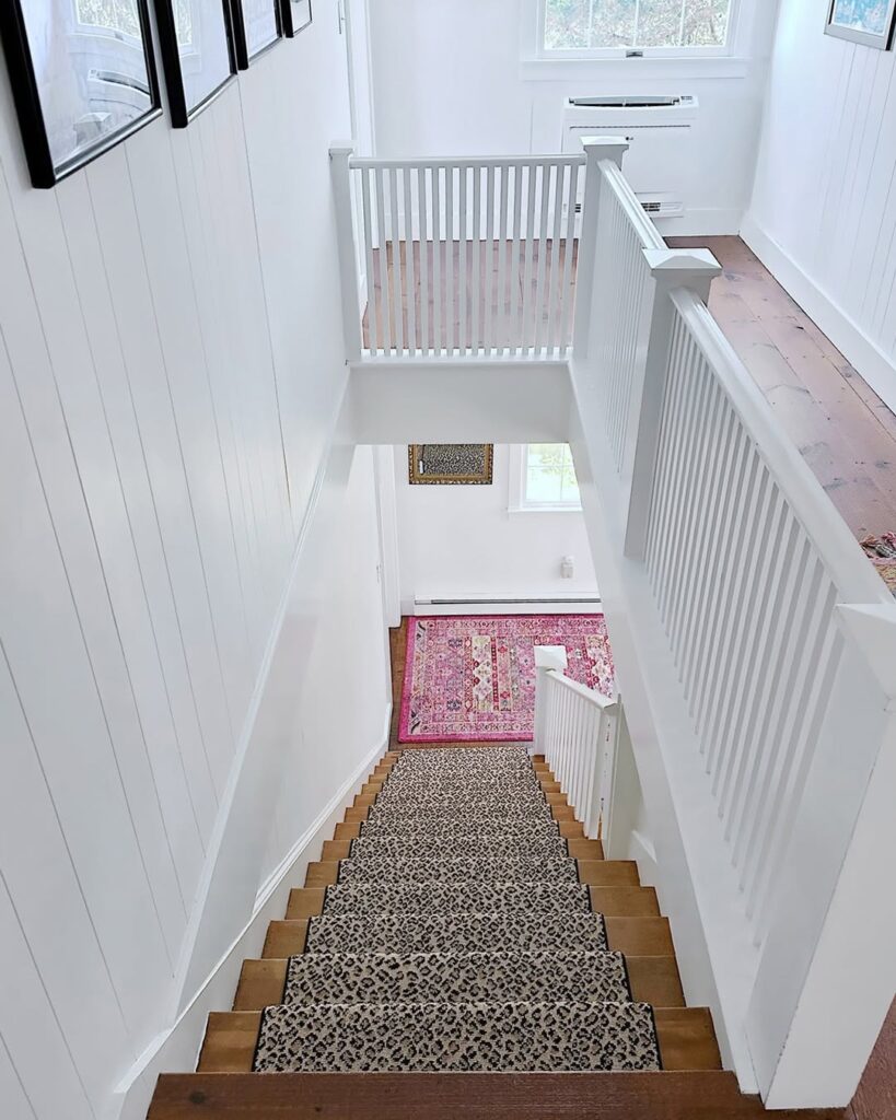 Stair Carpet Ideas