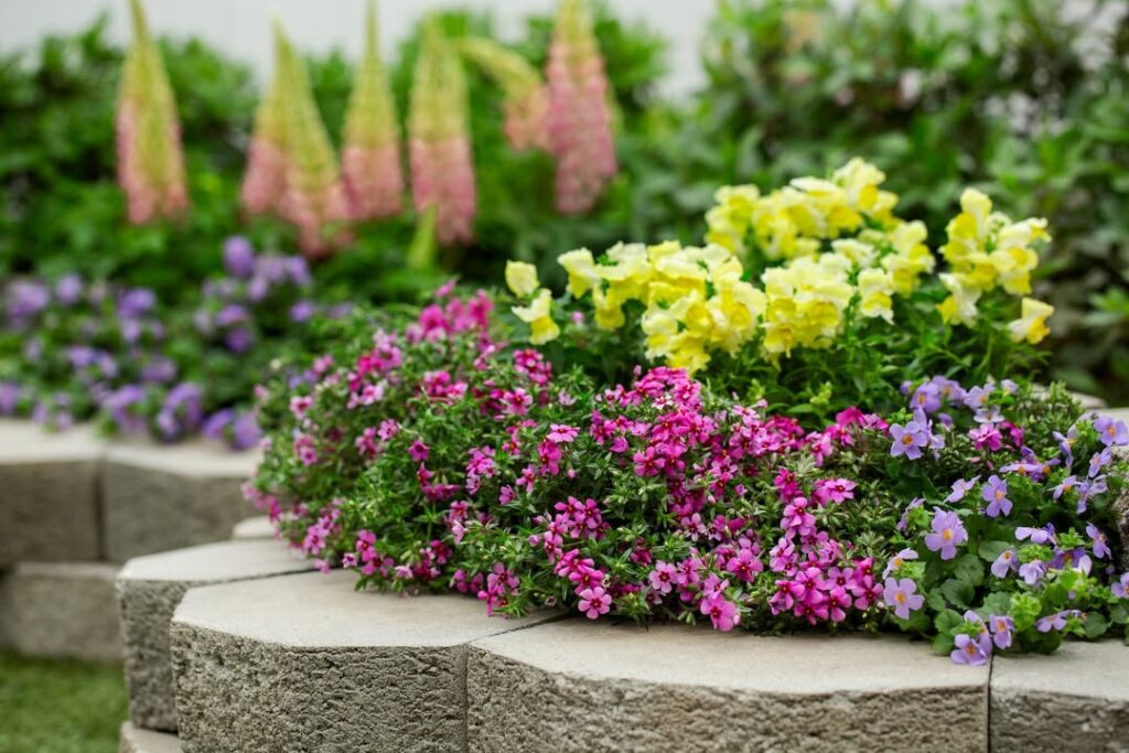 Flower Garden Ideas
