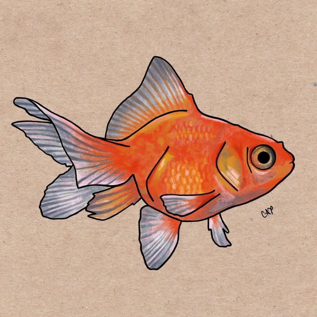 Cute Fish Drawing Ideas